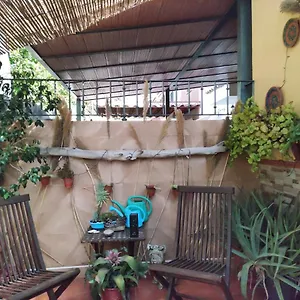 Cool Garden And Mairena del Aljarafe